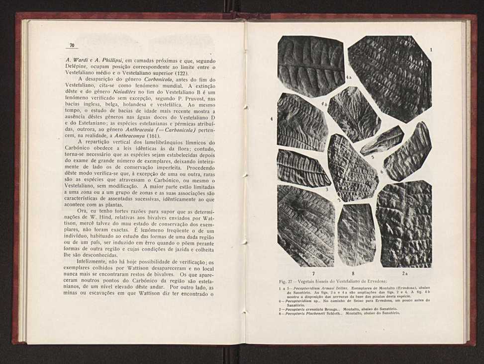 Oantracoltico continental portugus:estratigrafia:tectnica 49