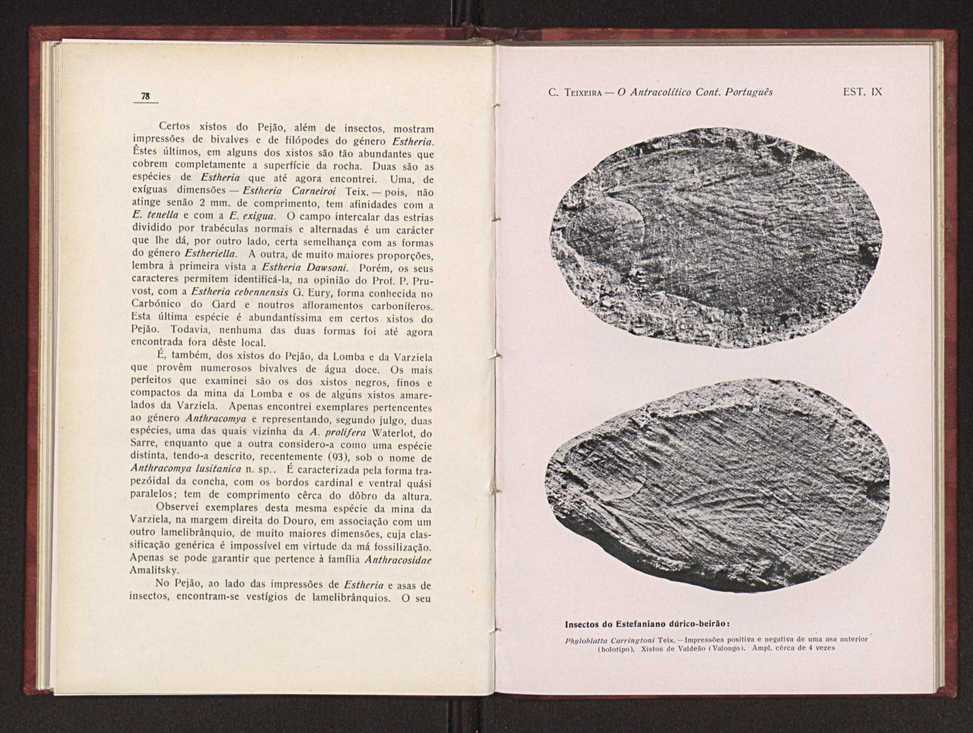 Oantracoltico continental portugus:estratigrafia:tectnica 56