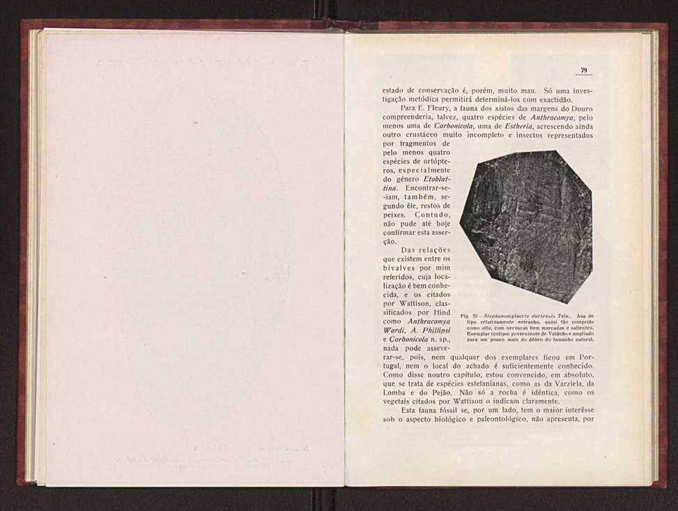 Oantracoltico continental portugus:estratigrafia:tectnica 58