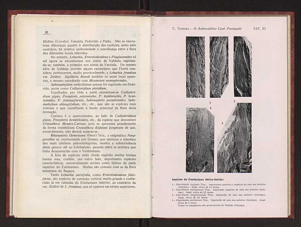 Oantracoltico continental portugus:estratigrafia:tectnica 60