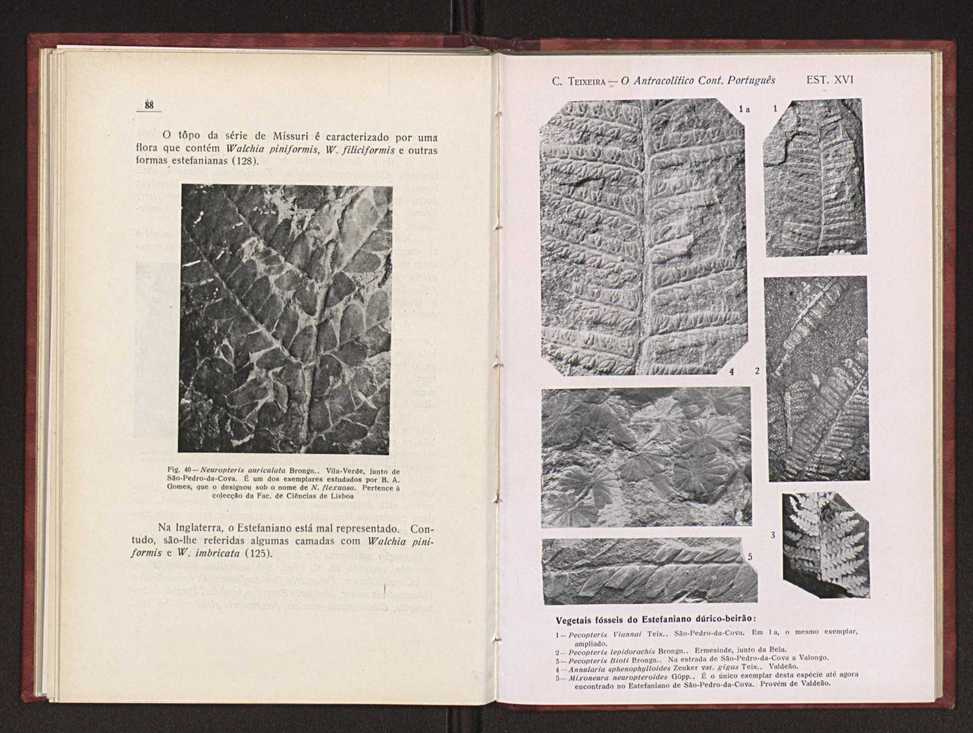 Oantracoltico continental portugus:estratigrafia:tectnica 68