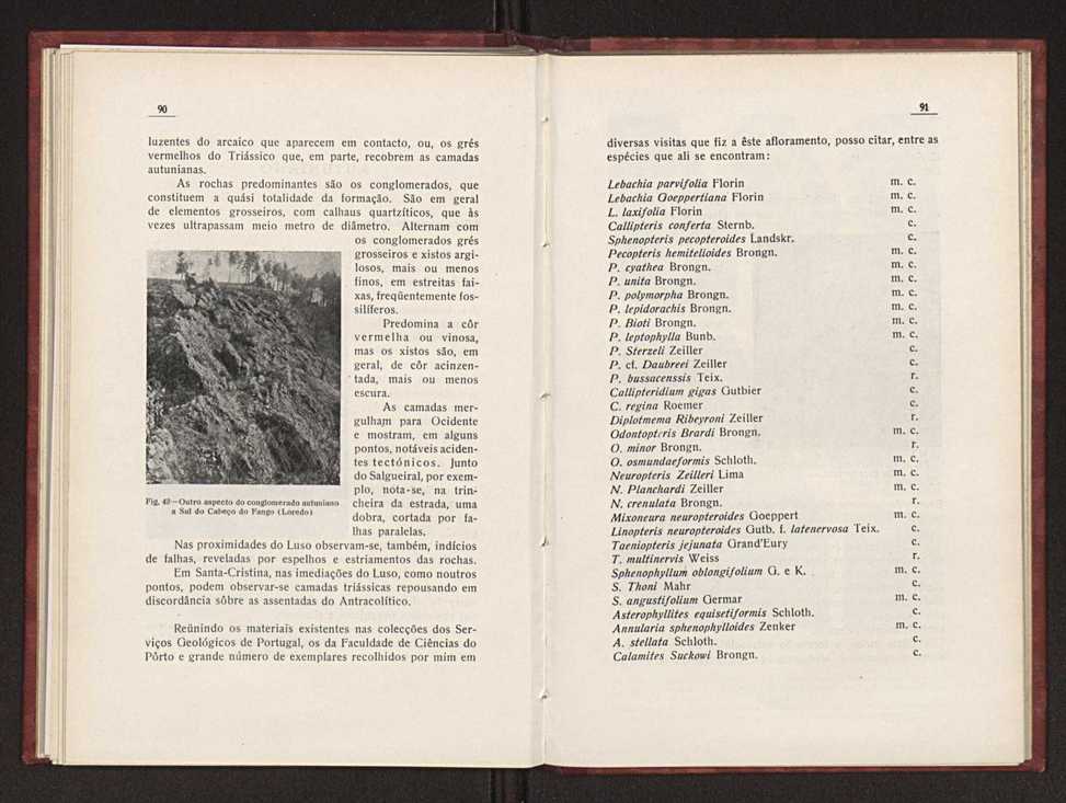 Oantracoltico continental portugus:estratigrafia:tectnica 71