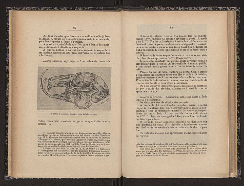 Anais da Faculdade de Scincias do Porto (antigos Annaes Scientificos da Academia Polytecnica do Porto). Vol. 16 43