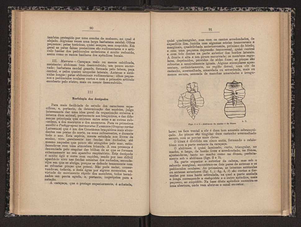 Anais da Faculdade de Scincias do Porto (antigos Annaes Scientificos da Academia Polytecnica do Porto). Vol. 16 47