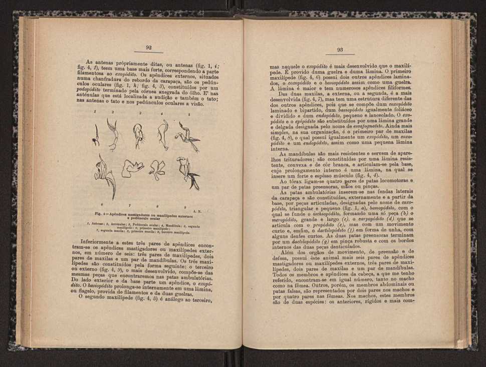 Anais da Faculdade de Scincias do Porto (antigos Annaes Scientificos da Academia Polytecnica do Porto). Vol. 16 48