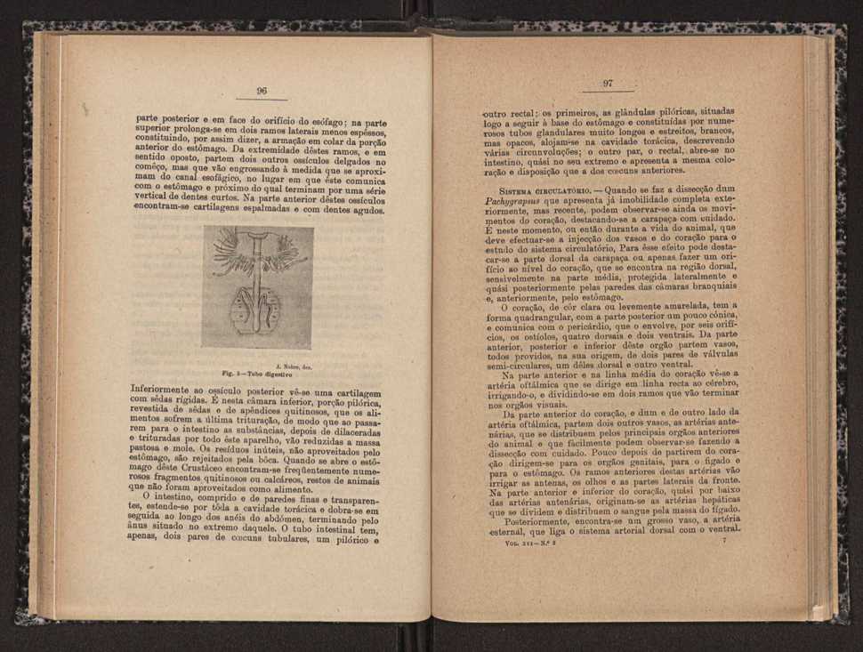 Anais da Faculdade de Scincias do Porto (antigos Annaes Scientificos da Academia Polytecnica do Porto). Vol. 16 50