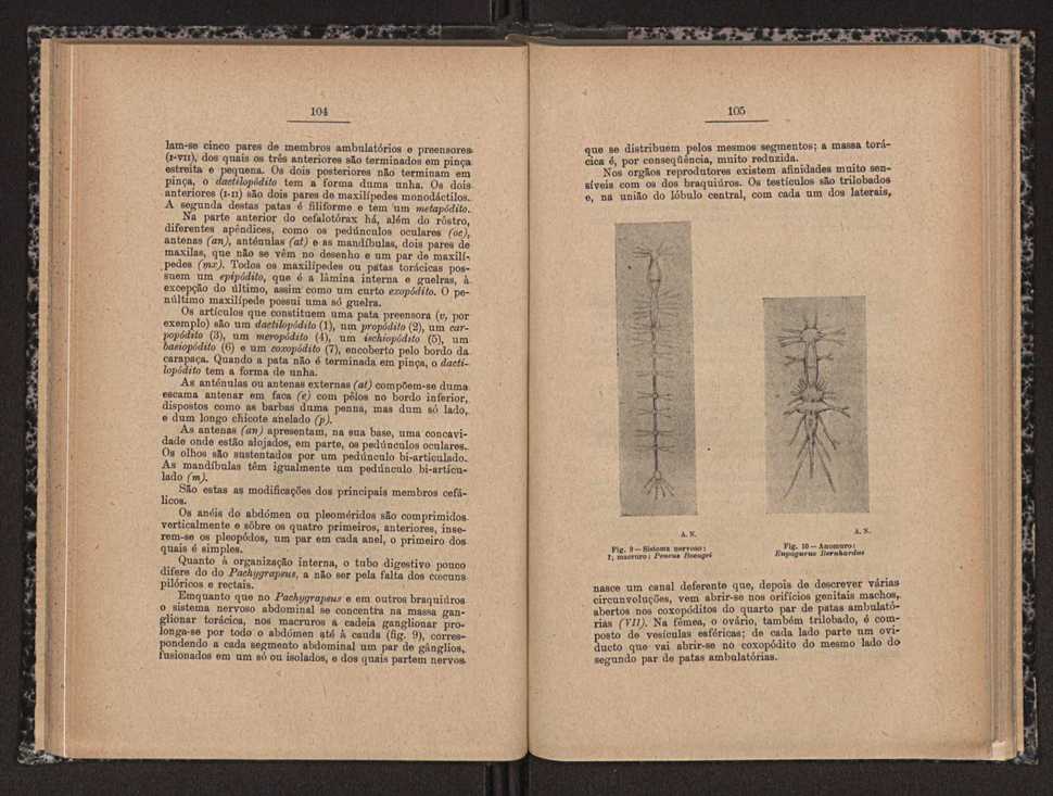 Anais da Faculdade de Scincias do Porto (antigos Annaes Scientificos da Academia Polytecnica do Porto). Vol. 16 54