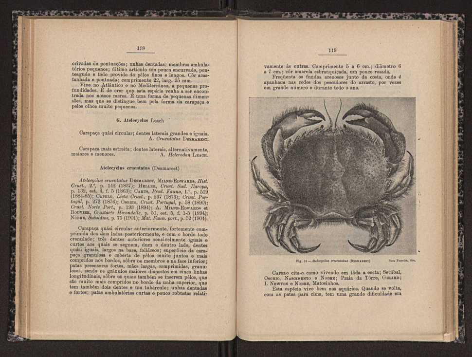 Anais da Faculdade de Scincias do Porto (antigos Annaes Scientificos da Academia Polytecnica do Porto). Vol. 16 61