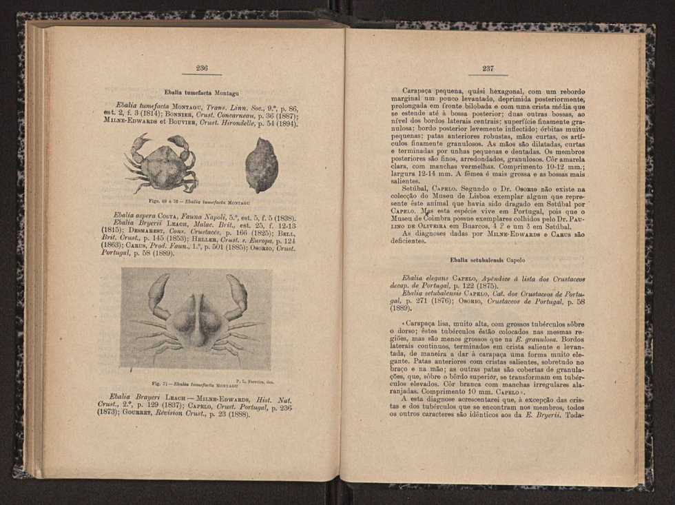 Anais da Faculdade de Scincias do Porto (antigos Annaes Scientificos da Academia Polytecnica do Porto). Vol. 16 120