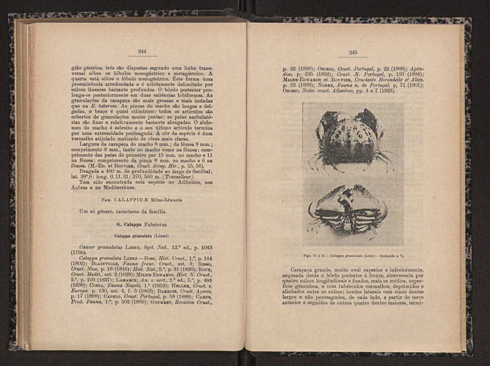 Anais da Faculdade de Scincias do Porto (antigos Annaes Scientificos da Academia Polytecnica do Porto). Vol. 16 124