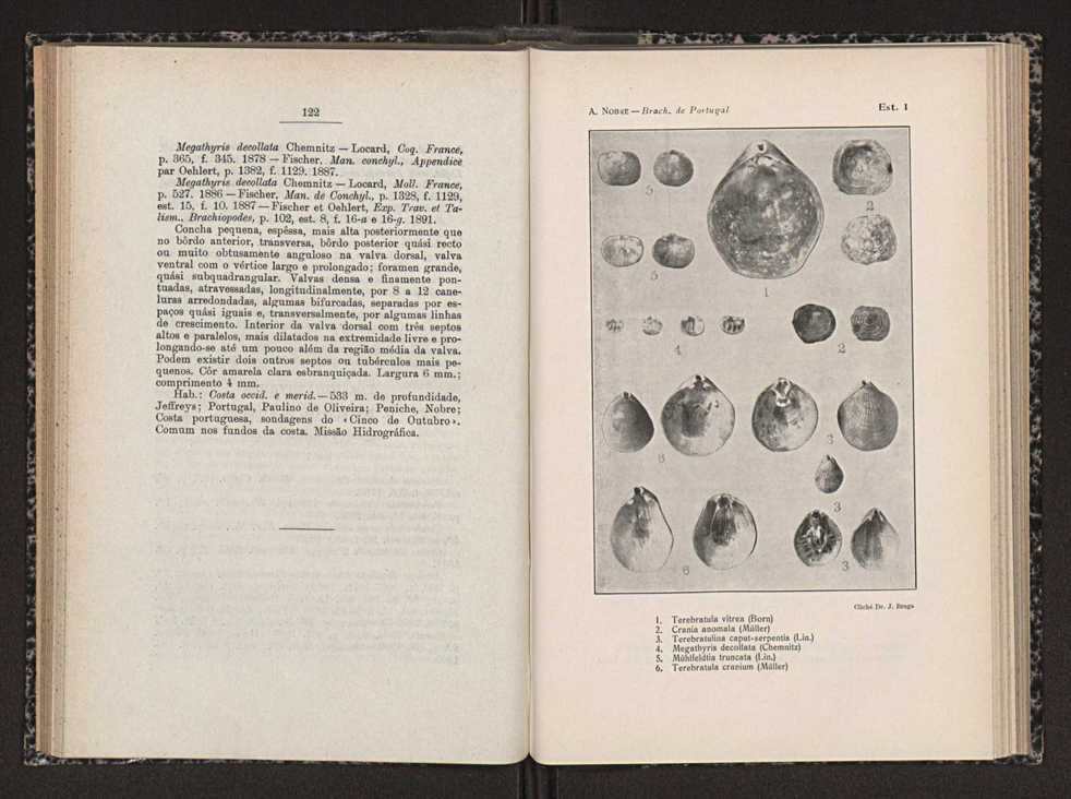 Anais da Faculdade de Scincias do Porto (antigos Annaes Scientificos da Academia Polytecnica do Porto). Vol. 17 65