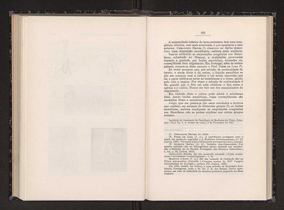 Anais da Faculdade de Scincias do Porto (antigos Annaes Scientificos da Academia Polytecnica do Porto). Vol. 22 88