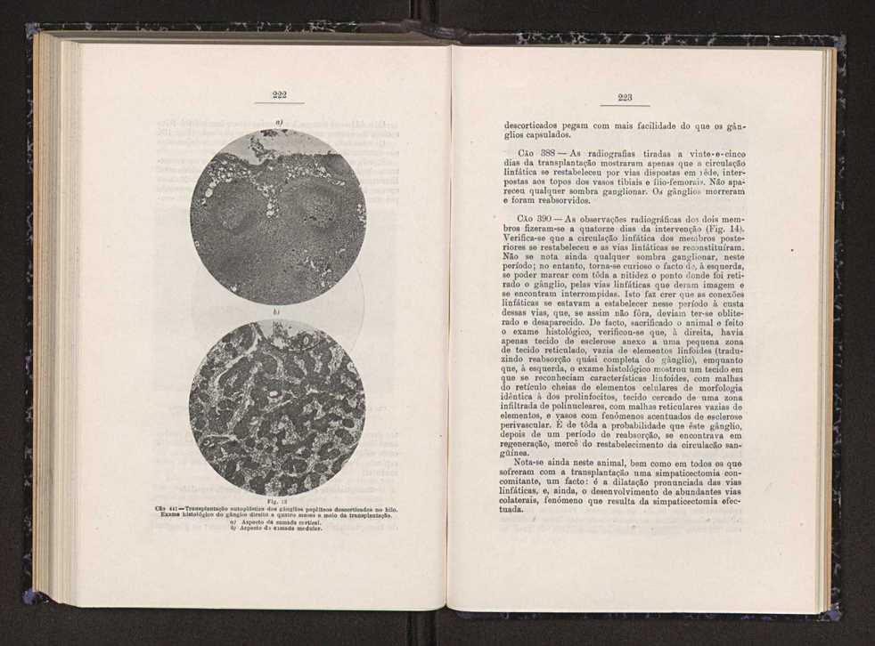 Anais da Faculdade de Scincias do Porto (antigos Annaes Scientificos da Academia Polytecnica do Porto). Vol. 22 117