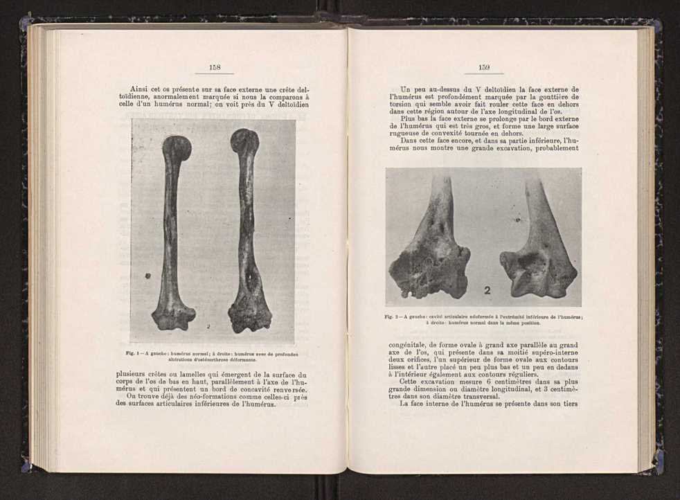 Anais da Faculdade de Scincias do Porto (antigos Annaes Scientificos da Academia Polytecnica do Porto). Vol. 23 82