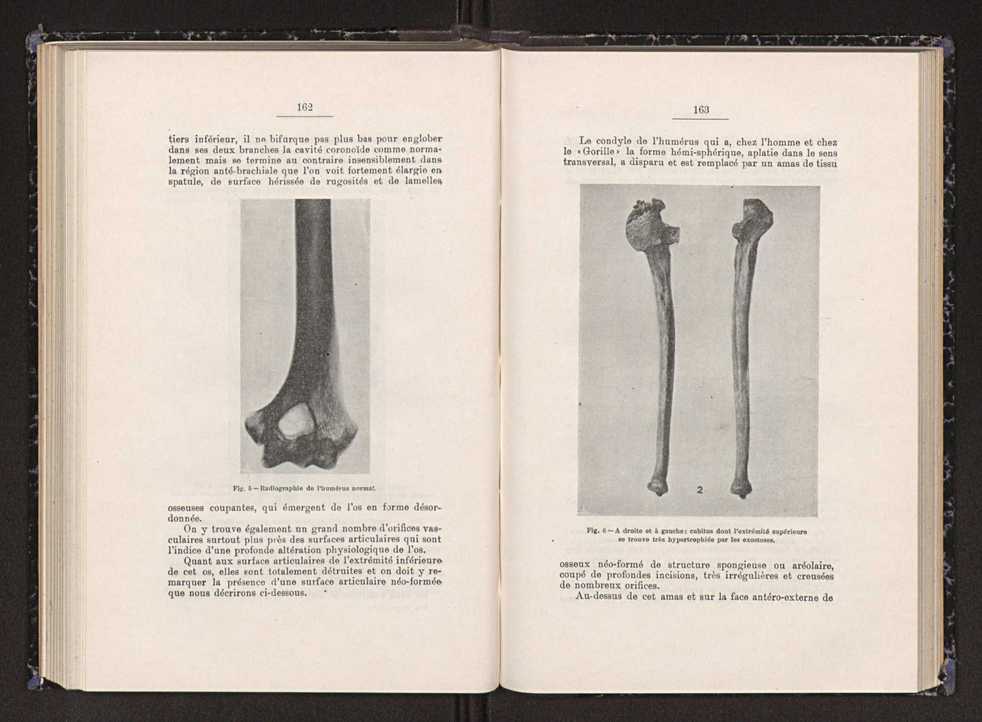 Anais da Faculdade de Scincias do Porto (antigos Annaes Scientificos da Academia Polytecnica do Porto). Vol. 23 84