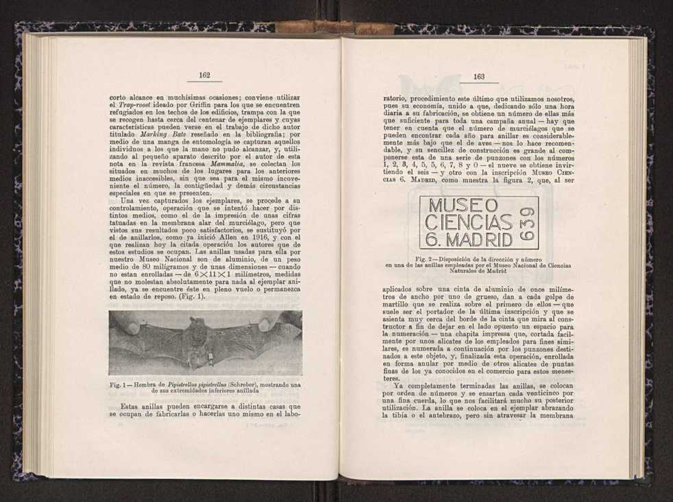 Anais da Faculdade de Scincias do Porto (antigos Annaes Scientificos da Academia Polytecnica do Porto). Vol. 26 84