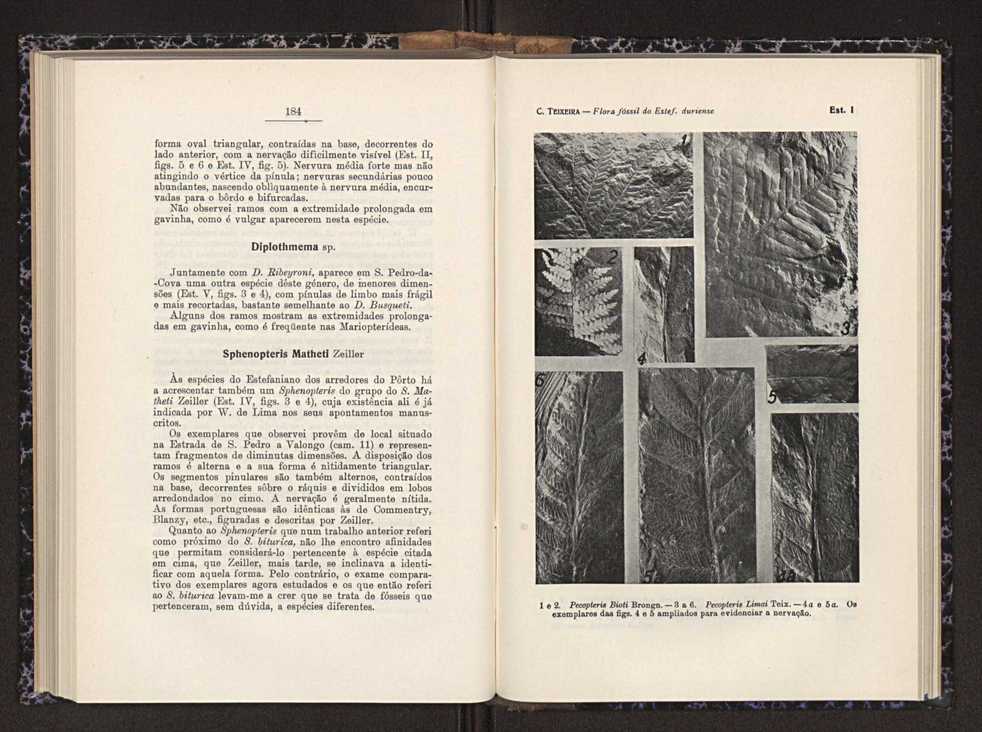 Anais da Faculdade de Scincias do Porto (antigos Annaes Scientificos da Academia Polytecnica do Porto). Vol. 26 95