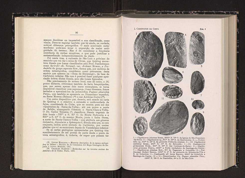 Anais da Faculdade de Scincias do Porto (antigos Annaes Scientificos da Academia Polytecnica do Porto). Vol. 28 53