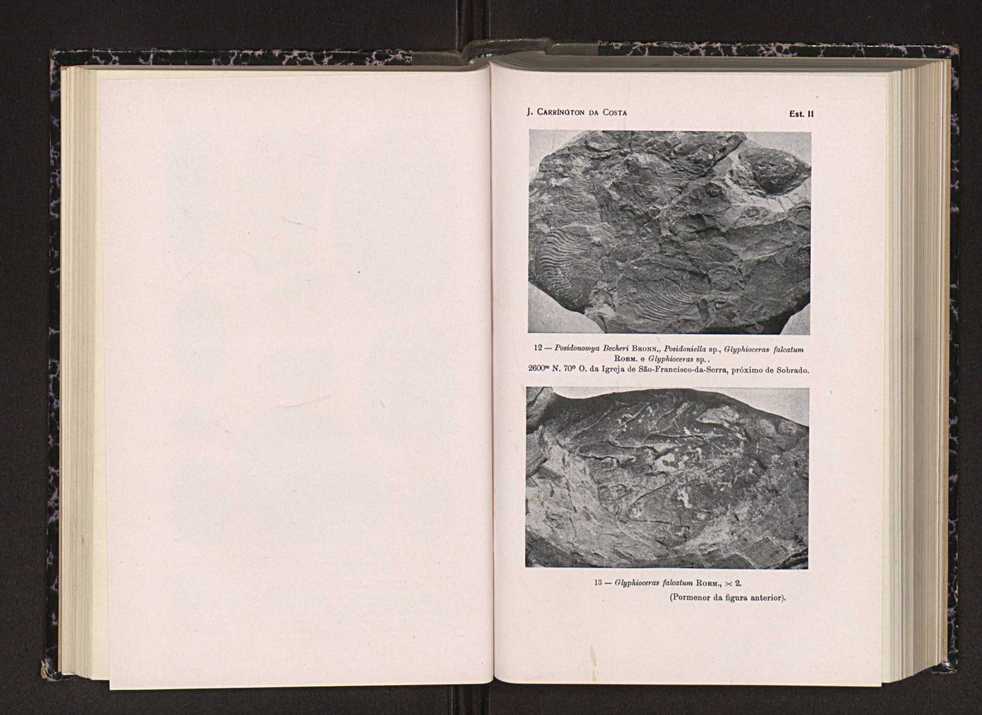 Anais da Faculdade de Scincias do Porto (antigos Annaes Scientificos da Academia Polytecnica do Porto). Vol. 28 54