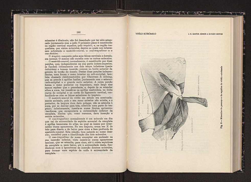 Anais da Faculdade de Scincias do Porto (antigos Annaes Scientificos da Academia Polytecnica do Porto). Vol. 28 102