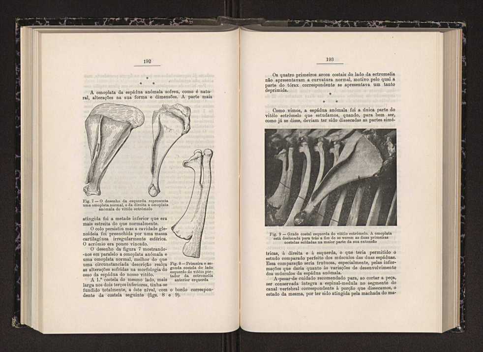 Anais da Faculdade de Scincias do Porto (antigos Annaes Scientificos da Academia Polytecnica do Porto). Vol. 28 106