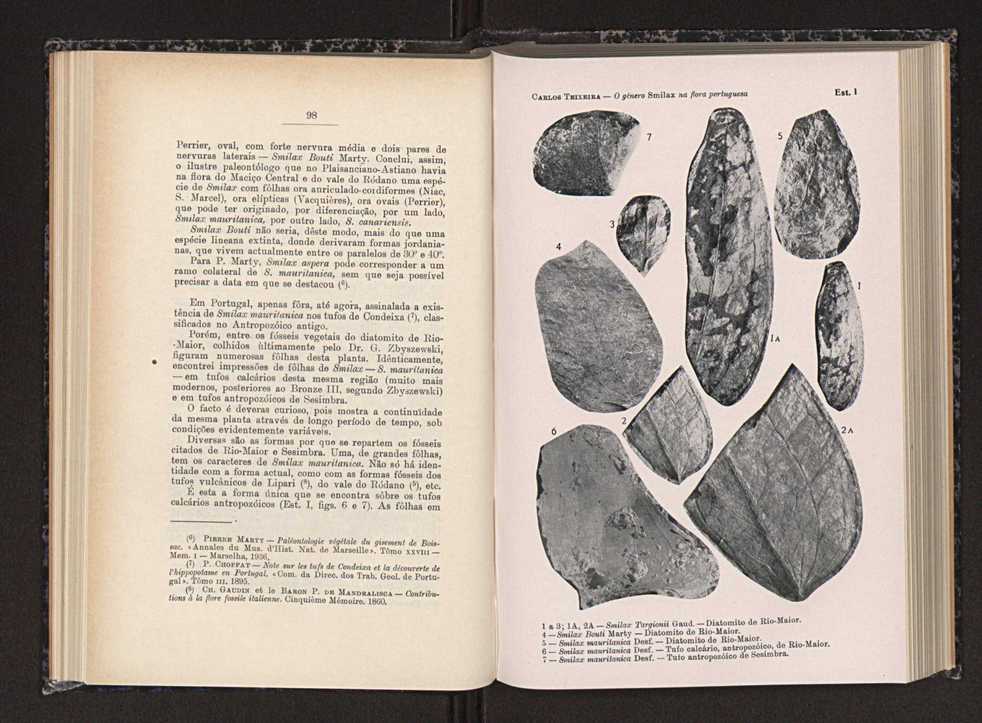 Anais da Faculdade de Scincias do Porto (antigos Annaes Scientificos da Academia Polytecnica do Porto). Vol. 29 53