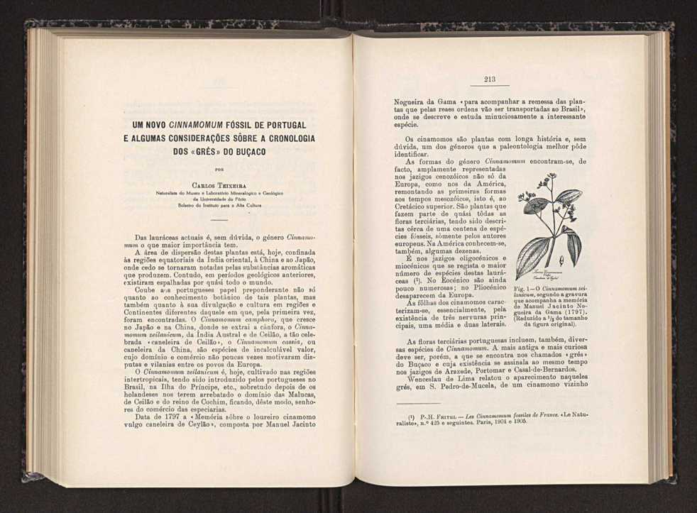 Anais da Faculdade de Scincias do Porto (antigos Annaes Scientificos da Academia Polytecnica do Porto). Vol. 29 112