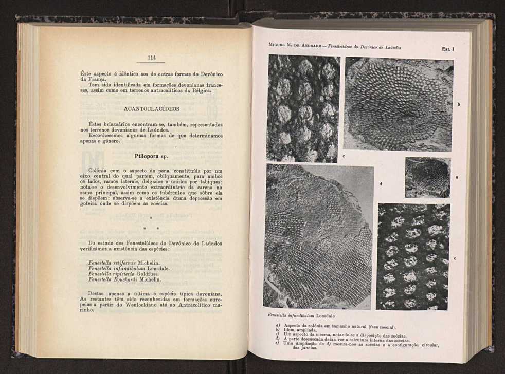 Anais da Faculdade de Scincias do Porto (antigos Annaes Scientificos da Academia Polytecnica do Porto). Vol. 30 63