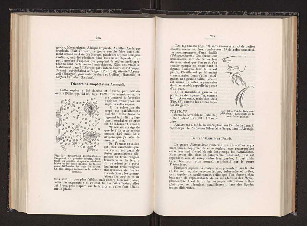 Anais da Faculdade de Scincias do Porto (antigos Annaes Scientificos da Academia Polytecnica do Porto). Vol. 30 121