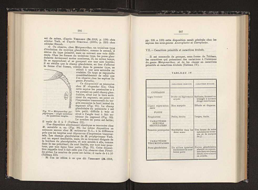 Anais da Faculdade de Scincias do Porto (antigos Annaes Scientificos da Academia Polytecnica do Porto). Vol. 30 136