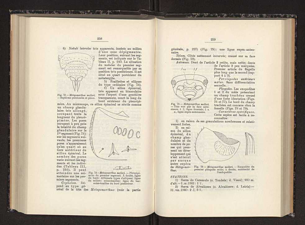 Anais da Faculdade de Scincias do Porto (antigos Annaes Scientificos da Academia Polytecnica do Porto). Vol. 30 142