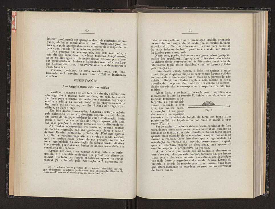 Anais da Faculdade de Scincias do Porto (antigos Annaes Scientificos da Academia Polytecnica do Porto). Vol. 33 33