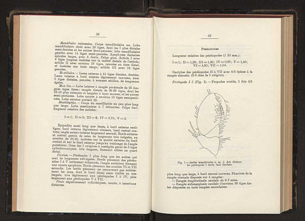 Anais da Faculdade de Scincias do Porto (antigos Annaes Scientificos da Academia Polytecnica do Porto). Vol. 34 31