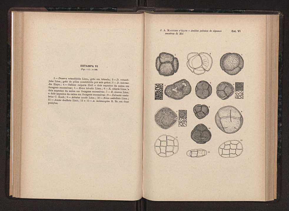Anais da Faculdade de Scincias do Porto (antigos Annaes Scientificos da Academia Polytecnica do Porto). Vol. 36 67