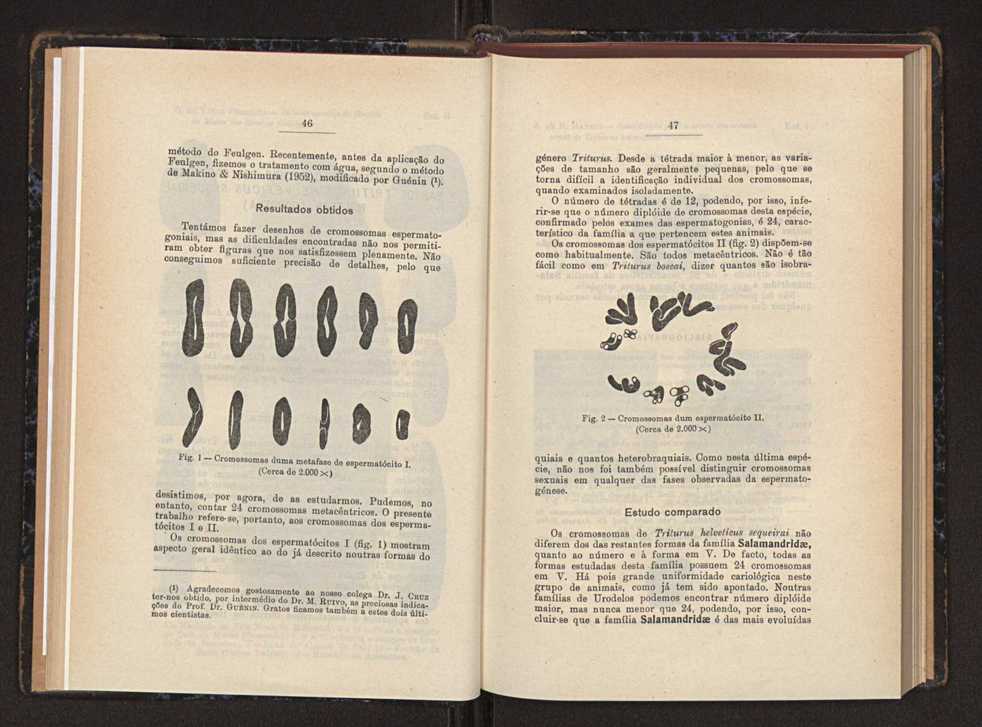 Anais da Faculdade de Scincias do Porto (antigos Annaes Scientificos da Academia Polytecnica do Porto). Vol. 37 27
