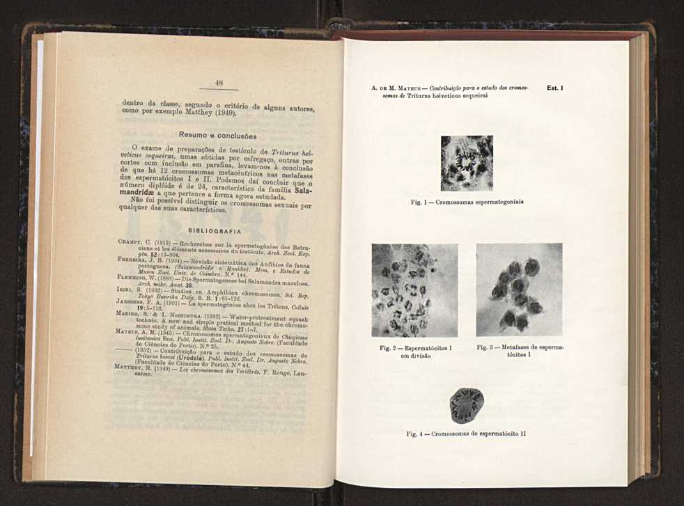 Anais da Faculdade de Scincias do Porto (antigos Annaes Scientificos da Academia Polytecnica do Porto). Vol. 37 28