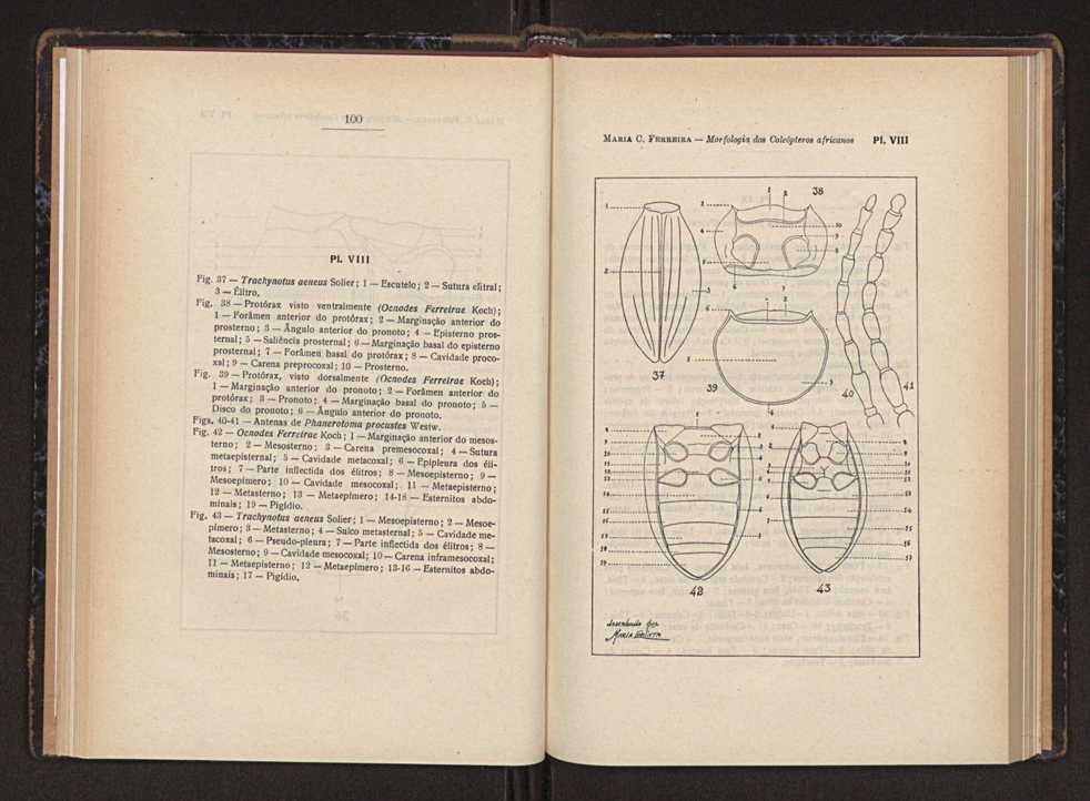 Anais da Faculdade de Scincias do Porto (antigos Annaes Scientificos da Academia Polytecnica do Porto). Vol. 37 55