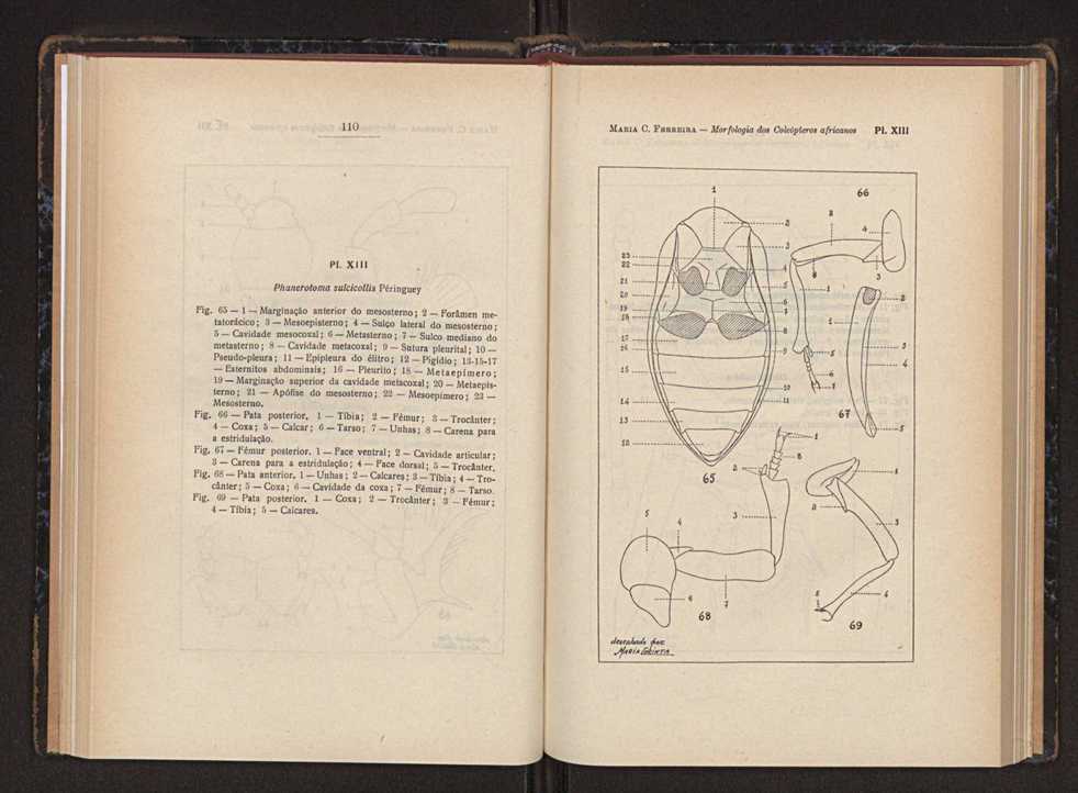 Anais da Faculdade de Scincias do Porto (antigos Annaes Scientificos da Academia Polytecnica do Porto). Vol. 37 60