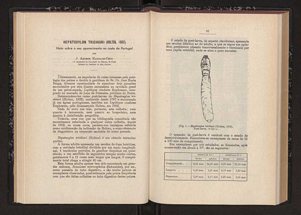 Anais da Faculdade de Scincias do Porto (antigos Annaes Scientificos da Academia Polytecnica do Porto). Vol. 41 51