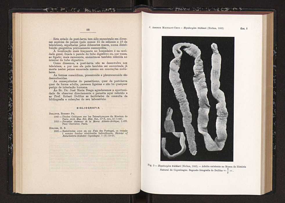 Anais da Faculdade de Scincias do Porto (antigos Annaes Scientificos da Academia Polytecnica do Porto). Vol. 41 52