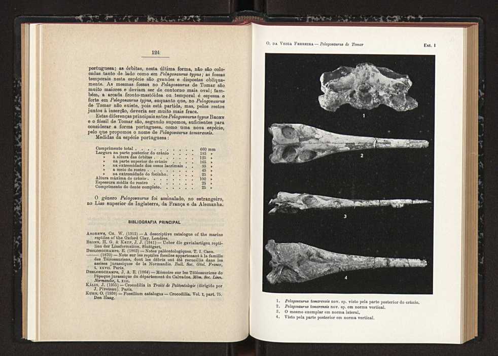 Anais da Faculdade de Scincias do Porto (antigos Annaes Scientificos da Academia Polytecnica do Porto). Vol. 41 74