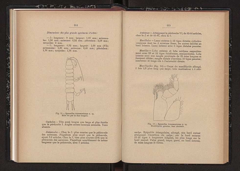 Anais da Faculdade de Scincias do Porto (antigos Annaes Scientificos da Academia Polytecnica do Porto). Vol. 41 126