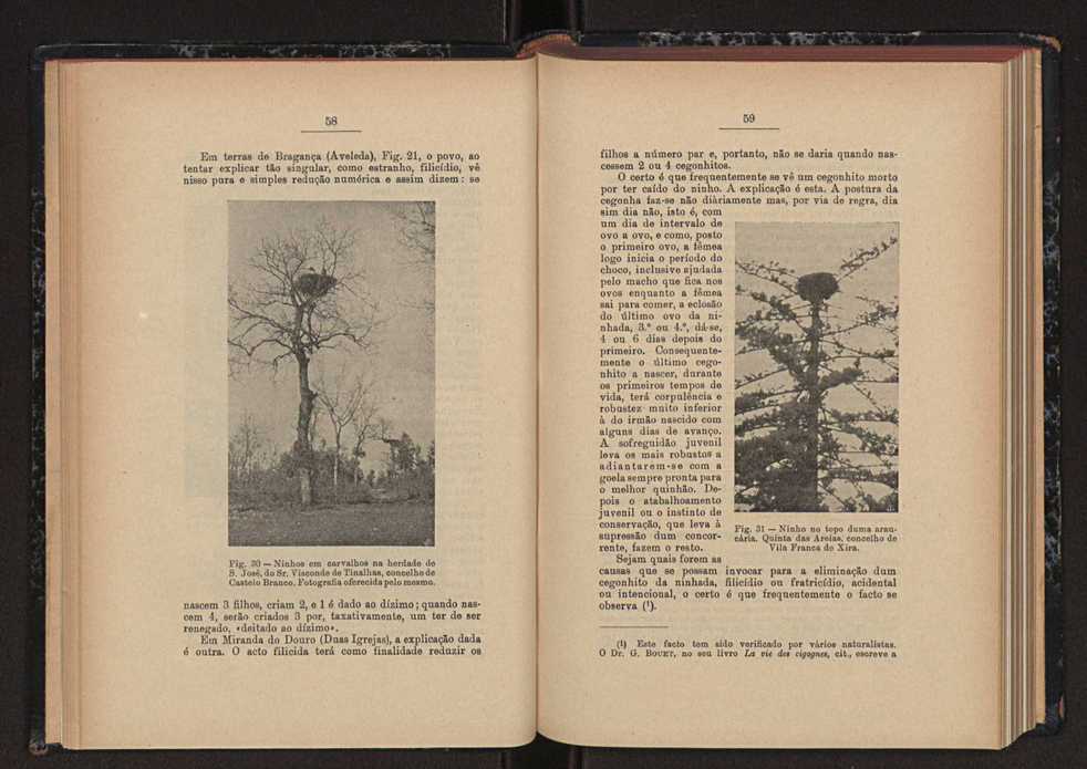 Anais da Faculdade de Scincias do Porto (antigos Annaes Scientificos da Academia Polytecnica do Porto). Vol. 44 33