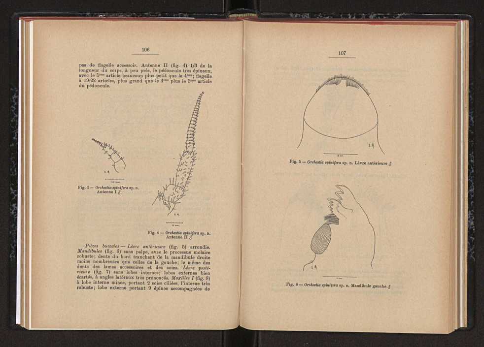 Anais da Faculdade de Scincias do Porto (antigos Annaes Scientificos da Academia Polytecnica do Porto). Vol. 45 64