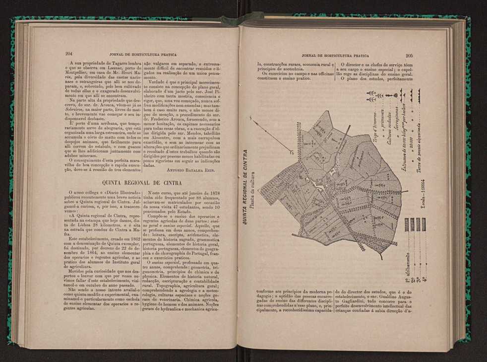 Jornal de horticultura prtica X 118