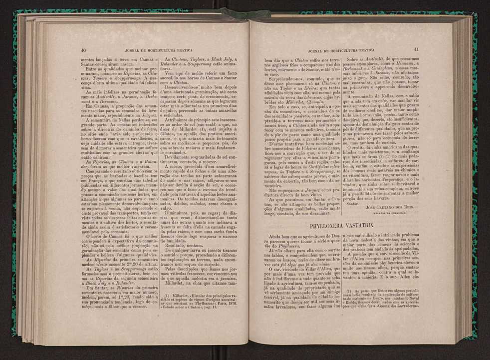 Jornal de horticultura prtica XI 34