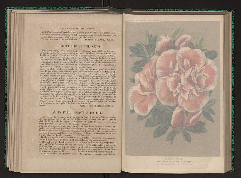 Jornal de horticultura prtica XI 57