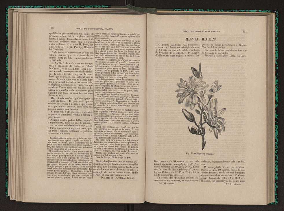 Jornal de horticultura prtica XI 78