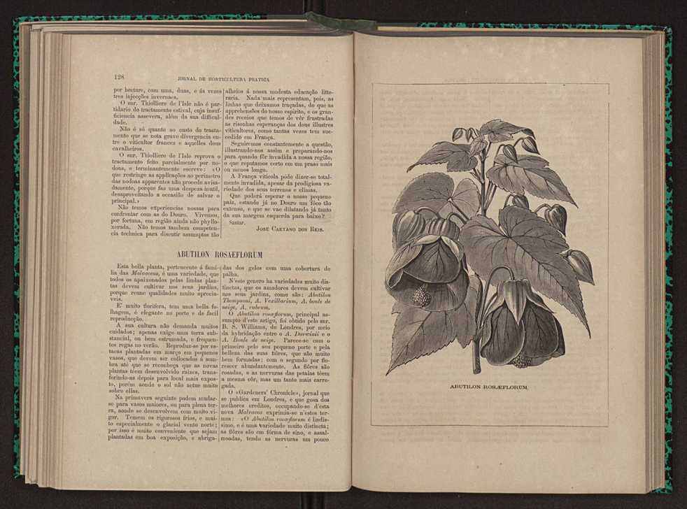 Jornal de horticultura prtica XI 82
