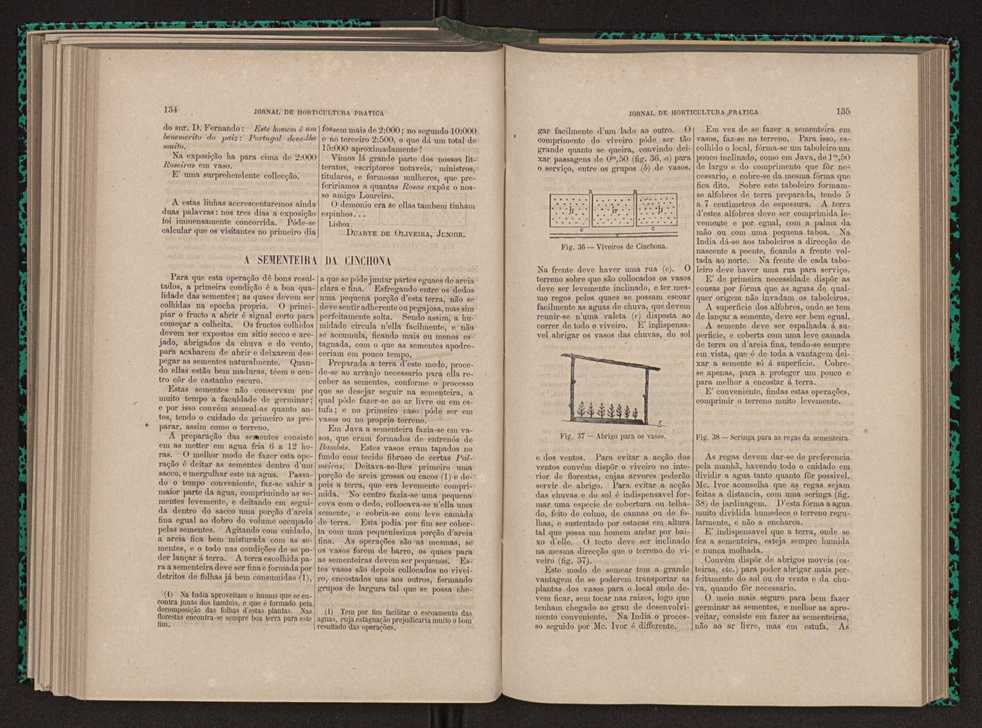 Jornal de horticultura prtica XI 86